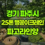 경기 파주시 목동동 크레인 파고라 인양 현장 사진