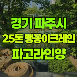 경기 파주시 25톤 맹꽁이 크레인 파고라인양 2시간 후기