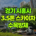 경기 시흥시 배곧동 스카이차 수목방제 현장 사진