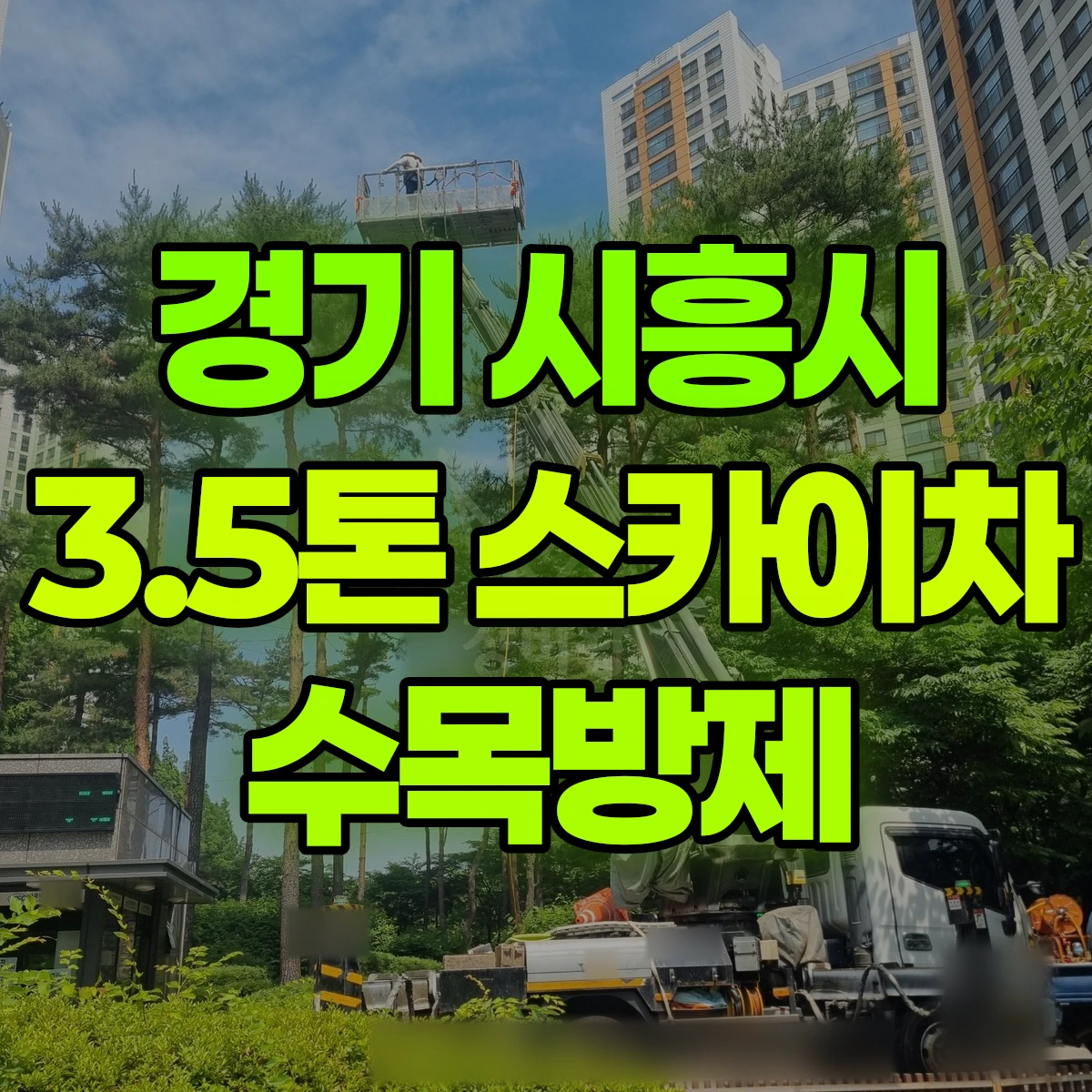 경기 시흥시 3.5톤 스카이차 수목방제 비용
