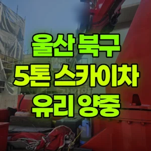 울산 북구 5톤 스카이차 유리 양중 2시간 후기