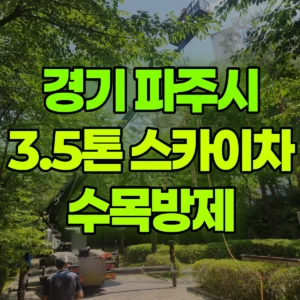 경기 파주시 3.5톤 스카이차 수목방제 1시간 비용