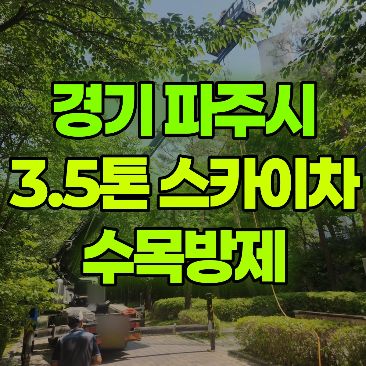 경기 파주시 3.5톤 스카이차 수목방제 비용
