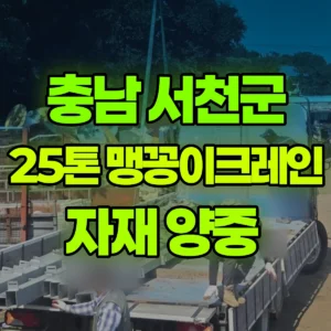 충남 서천군 25톤 맹꽁이 크레인 자재 양중  일대 후기