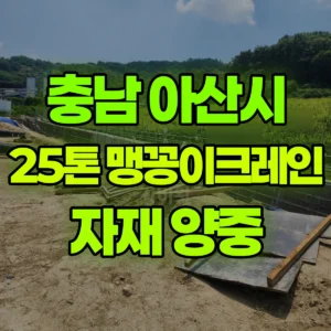 충남 아산시 25톤 맹꽁이 크레인 자재인양/야기리 양중 2일 후기
