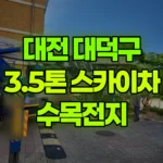 대전 대덕구 비래동 스카이차 수목전지 현장 사진