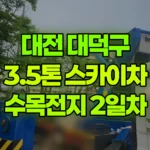대전 대덕구 비래동 스카이차 2일차 : 수목전지 현장 사진