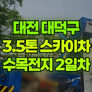 대전 대덕구 3.5톤 스카이차 2일차 : 수목전지 일대 비용