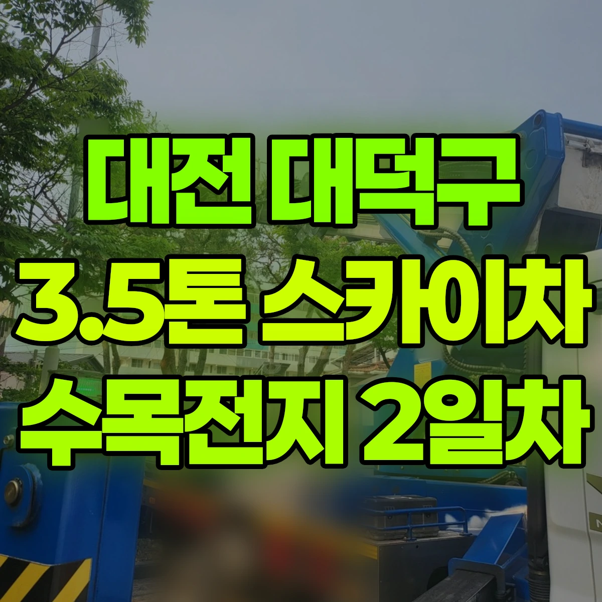대전 대덕구 3.5톤 스카이차 수목전지 2일차 비용