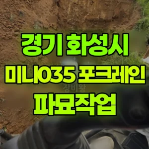 경기 화성시 미니035 포크레인(굴착기) 파묘작업 반나절 후기
