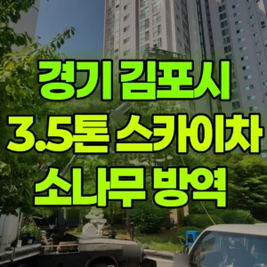 경기 김포시 3.5톤 스카이차 소나무 방역  반나절 후기