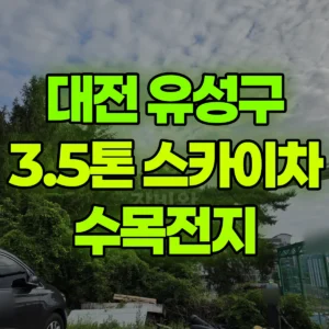 대전 유성구 3.5톤 스카이차 수목전지 일대 비용