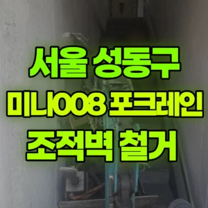 서울 성동구 미니008 포크레인(굴착기) 조적벽 철거  3일 후기