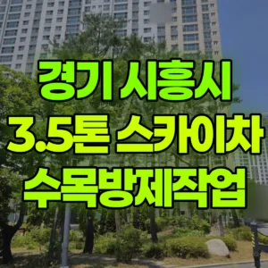 경기 시흥시 3.5톤 스카이차 수목방제작업 2시간 비용