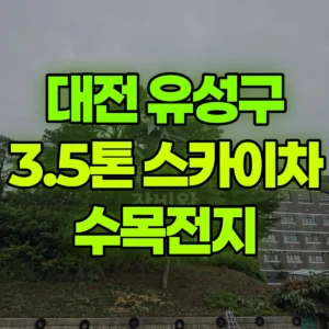 대전 유성구 3.5톤 스카이차 수목전지 일대 후기