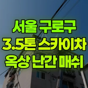 서울 구로구 3.5톤 스카이차 옥상 난관 매쉬 작업  반나절 후기