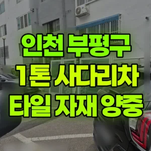 인천 부평구 1톤 사다리차 타일/인테리어자재 양중 1시간 후기