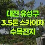 대전 유성구 화암동 스카이차 수목전지 현장 사진