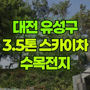 대전 유성구 3.5톤 스카이차 수목전지 일대 비용