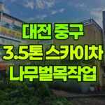대전 중구 태평동 스카이차 나무벌목작업 현장 사진
