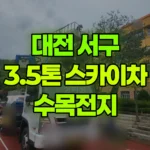 대전 서구 괴곡동 스카이차 수목전지 현장 사진