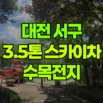 대전 서구 괴곡동 스카이차 수목전지 현장 사진
