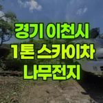 경기 이천시 모가면 스카이차 나무전지 현장 사진