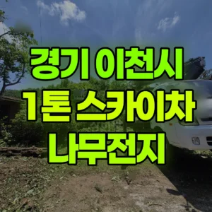 경기 이천시 스카이차 나무전지 일대 비용