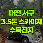 대전 서구 괴곡동 스카이차 수목전지 현장 사진