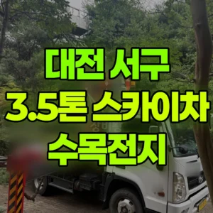대전 서구 스카이차 수목전지 일대 후기