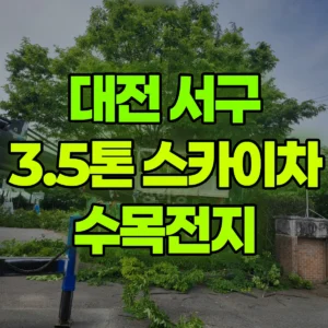 대전 서구 스카이차 수목전지 일대 후기