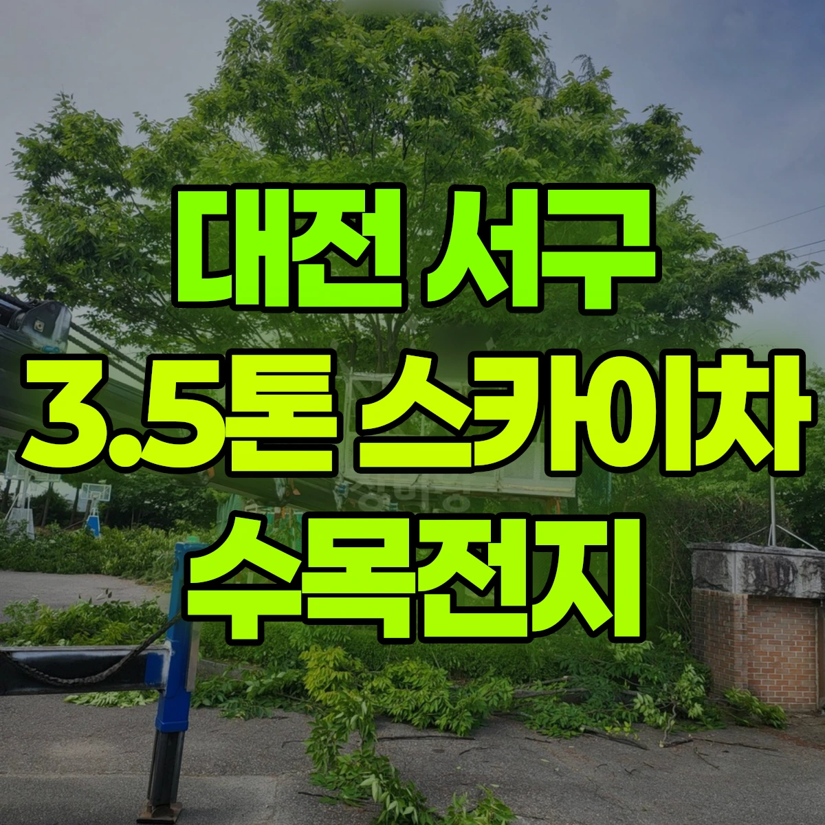 대전 서구 3.5톤 스카이차 수목전지 비용