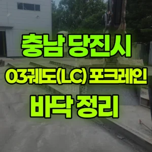 충남 당진시 03궤도(LC) 포크레인(굴착기) 바닥 정리  일대 비용