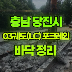 충남 당진시 03궤도(LC) 포크레인(굴착기) 바닥 정리  일대 후기