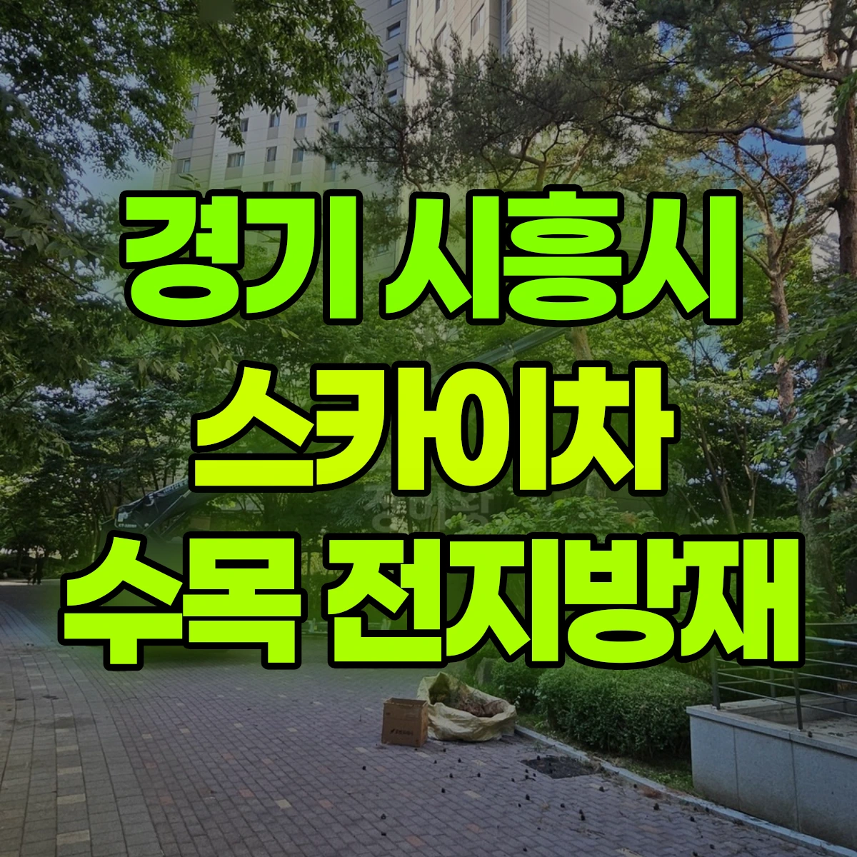 경기 시흥시 스카이차 수목 전지방재 비용