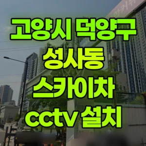 경기 고양시 스카이차 cctv 설치 1시간 후기
