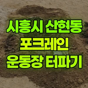 경기 시흥시 03바퀴(W) 포크레인(굴착기) 운동장 터파기/다짐 반나절 비용
