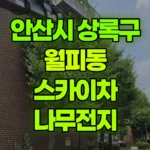 경기 안산시 상록구 월피동 스카이차 나무전지 현장 사진