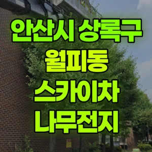 경기 안산시 스카이차 나무전지 반나절 후기