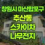 경남 창원시 마산합포구 추산동 스카이차 나무전지 현장 사진