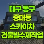 대구 동구 중대동 스카이차 건물발수제작업 현장 사진