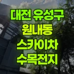 대전 유성구 원내동 스카이차 수목전지 현장 사진