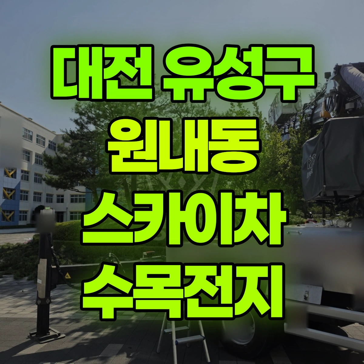 대전 유성구 원내동 스카이차 수목전지 비용