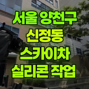 서울 양천구 스카이차 실리콘 작업  반나절 후기