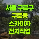 서울 구로구 구로동 스카이차 전지작업 현장 사진