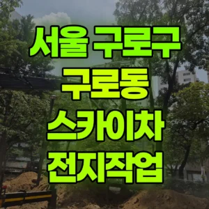 서울 구로구 스카이차 전지작업 일대 후기