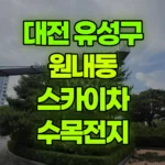 대전 유성구 원내동 스카이차 수목전지 현장 사진