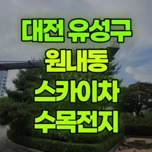 대전 유성구 스카이차 수목전지 일대 후기