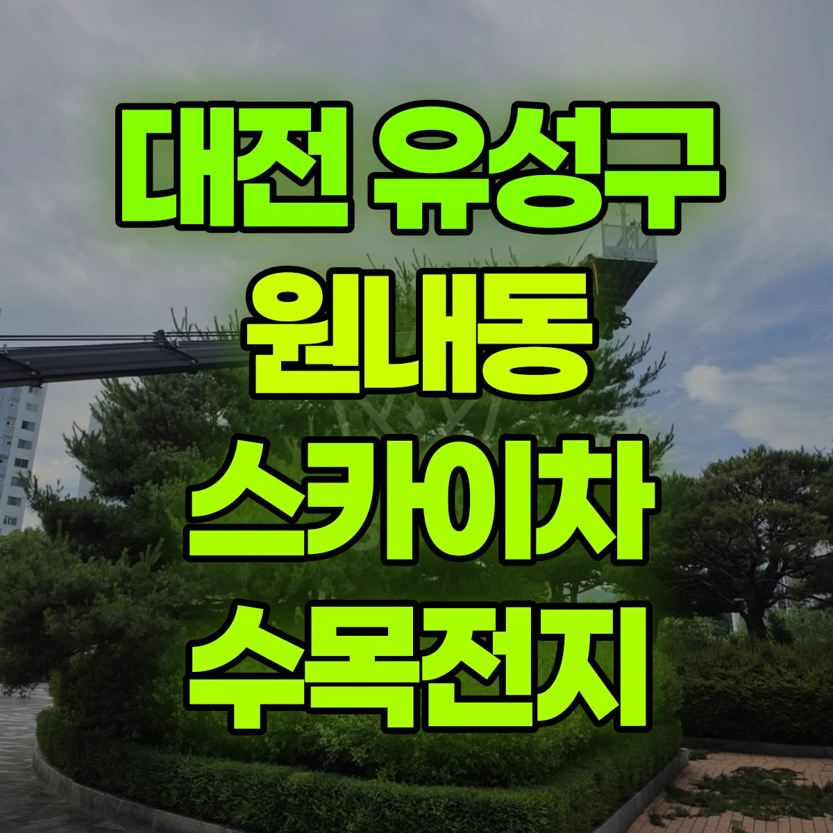 대전 유성구 원내동 스카이차 수목전지 비용