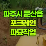 경기 파주시 문산읍 포크레인 파묘작업 현장 사진